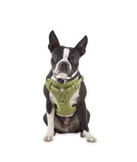 Petco Brand - Good2Go Olive Padded Step-in Dog Harness, Medium, Green