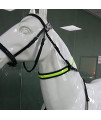 HABADOG LED Horse Collar Bridle Halter USB Charging Night Riding Equestrian Multifunctional Adjustable Safety Gear Multi-Color (Color : Green)