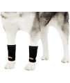NeoAlly Dog Canine Front Leg Compression Braces Super Supportive with Metal Spring Strips to Stabilize Dog Front Leg Wrist Carpal, Prevents Leg Injuries & Sprains (L/XL Pair)