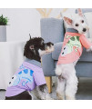 Touchdog ? 'Arubark' Dog T-Shirt - Caribbean Style Dog Polo Pet T-Shirt with Accented Collar - Summer Dog Clothes or Dog Shirts Featuring Accented Embroidery and Lizzard Print
