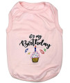 Parisian Pet Dog Summer clothes Its My Birthday Pink Funny Dog Tshirt with Embroidery Pattern, Size XL