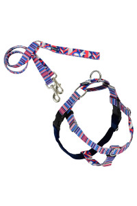 2 Hounds Design Freedom No Pull Dog Harness and Leash | Adjustable Gentle Comfortable Control for Easy Dog Walking |for Small Medium and Large Dogs | EarthStyle Designs | Made in USA