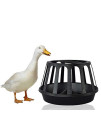 LLY Pet Poultry Feeder, Chicken Duck Goose Trough Food Dispenser