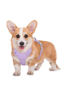 BARKBAY No Pull Dog Harness Large Step in Reflective Dog Harness with Front Clip and Easy Control Handle for Walking Training Running with ID tag Pocket(Violet Purple,M)
