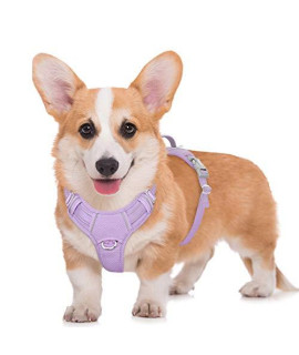 BARKBAY No Pull Dog Harness Large Step in Reflective Dog Harness with Front Clip and Easy Control Handle for Walking Training Running with ID tag Pocket(Violet Purple,M)