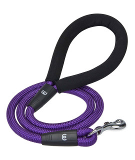 Blueberry Pet Essentials Better Basics Dog Rope Leash With Comfortable Padded Handle, 4 Ft, Dark Orchid, Heavy Duty Strong Training Leashes For Dogs
