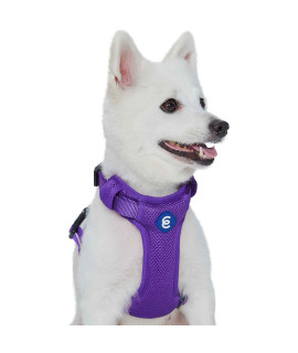 Blueberry Pet Essentials Better Basics No Pull Dog Harness With Back Leash Clip, Dark Orchid, Large, Adjustable Mesh Padded Soft Vest For Dogs