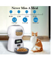 Automatic Cat Feeder, 4L Pet Dry Food Dispenser Dog Timed Feeders Large Stainless Bowl Clog-Free Low Battery Indicator Visible Window 4 Meals Programmable per Day & 10s Voice Recorder DoHonest S03