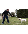 Easy Tug Handheld Tug Toy for Dogs Who Love Tugging and Pulling