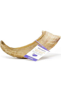 Icelandic+ | All-Natural Dog Chew Treats | Lamb Horn, Large (2 Pack)
