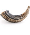 Icelandic+ | All-Natural Dog Chew Treats | Lamb Horn, Large (2 Pack)