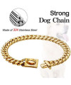 18K Gold Dog Collar Choker Necklace with Stainless Steel Buckle,Strong 304 Stainless Steel Metal Cuban Link Chain Dog Training Choke Collar for Small Medium Large Dogs (16inch, Gold)