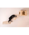 Armarkat Cat Wall Scratch Series: Tree W1907A with Condo, Perch, and Stepup, Natural Beige