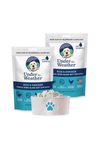 Under The Weather Easy to Digest Bland Diet for Sick Dogs - Contains Electrolytes - Gluten Free, All Natural, Freeze Dried 100% Human Grade Meats - Rice, Chicken & Pumpkin