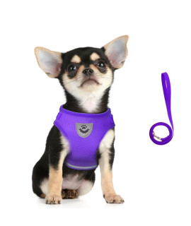 FEimaX No Pull Small Dog Harness and Leash Set, Soft Mesh Puppy Reflective Adjustable Harnesses for Walking Escape Proof Cat Kitten Step-in Breathable Vest Harness