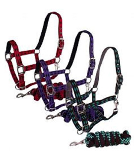 Showman 3ply Nylon Horse Halter with Diamond Print Design and Matching Lead (Teal & Black)