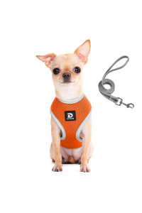 Puppy Harness And Leash Set - Dog Vest Harness For Small Dogs Medium Dogs- Adjustable Reflective Step In Harness For Dogs - Soft Mesh Comfort Fit No Pull No Choke (Xs, Orange)