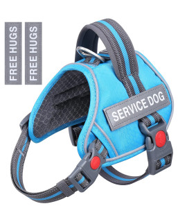 Vivaglory Service Dog Vest, No Pull Dog Vest Harness With Padded Handle And Leash Clip, Reflective Breathable Training Pet Vest With Removable Patches, Adjustable Fit For Medium Breed Dogs, Blue
