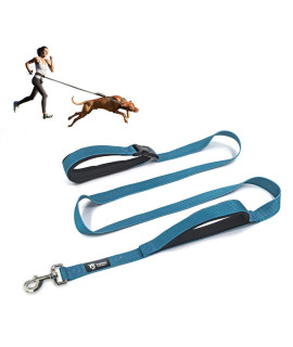 TSPRO Hands Free Dog Leash Adjustable Walking Running Dog Leash with control Safety Padded Handle and Heavy Duty clasp for Small Medium Large Dogs(Blue)