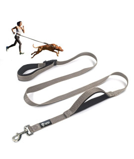 TSPRO Hands Free Dog Leash Adjustable Walking Running Dog Leash with control Safety Padded Handle and Heavy Duty clasp for Small Medium Large Dogs(gray)
