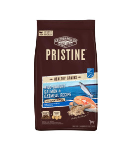 castor & Pollux Pristine Wild-caught Salmon & Oatmeal Dry Dog Food Recipe with Raw Bites - 4 lb Bag