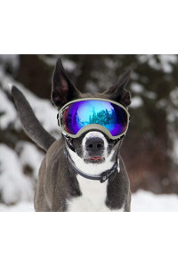 Rex Specs Dog Goggles