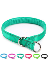 Mycicy Reflective Dog Choke Collar, Soft Nylon Training Slip Collar For Dogs (58 W X 155 L, Turquoise)