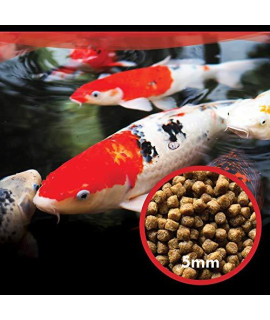 HALF OFF PONDS Show and Grow Koi and Goldfish Color Enhancing and Protein Food 5 lbs. Bag - KOISG-005