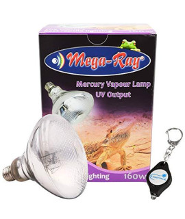 MegaRay Mercury Vapor Bulb UV Output Lamp 120V UVB for Reptiles Bundle with a Lumintrail Keychain Light (160W)