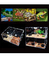 LOUJ Reptile Feeding Box - Multi-Crawl Climbing Pet Box Terrarium Kit Acrylic Small Pet Box Scorpion Hatching Reproduction Transparent Reptile Box for Reptiles and Amphibians