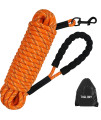 Taglory Long Leash for Dog Training, 15 FT Reflective Nylon Rope Lead, Check Cord with Comfortable Padded Handle for Large Medium Small Dogs Walking, Camping, Orange