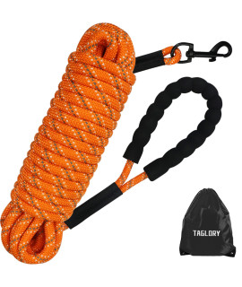 Taglory Long Leash for Dog Training, 15 FT Reflective Nylon Rope Lead, Check Cord with Comfortable Padded Handle for Large Medium Small Dogs Walking, Camping, Orange
