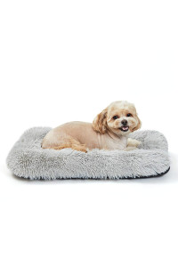 Puppy Dog Bed Small Dogs, Washable Dog Crate Bed Cushion, Dog Crate Pad Small Dogs 24 Inch