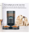 Cat Feeder, HoneyGuaridan 6.5L Automatic Pet Feeder for Two Cats Dogs Food Dispenser Auto Cat Feeder 6 Meal Portion Control, Distribution Alarm, Programmable Timer Feeder, Customizable Voice Recorder