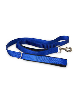 Good2Go Blue Shock Absorbing Dog Leash, 5 ft., Standard
