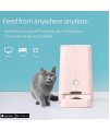 DOGNESS 6L Smart Feed Automatic Cat Feeder, Wi-Fi Enabled Pet Feeder for Cat and Small Dog, Smartphone App for iOS and Android, Portion Control, Fresh Lock System Auto Food Dispenser (Pink)
