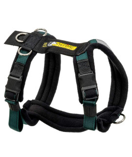 Alpine Outfitters Urban Trail Adjustable Harness (XLarge, Teal)