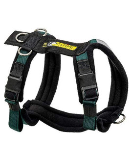 Alpine Outfitters Urban Trail Adjustable Harness (Small, Teal)