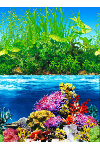 ELEBOX Fish Backgrounds Paper Double Sides Aquarium Background Picture, colorful Fish Tank Background 16x 40