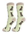 E&S Imports Pet Lover Socks - All Season - One Size Fits Most - For Women And Men - Dog Gifts (German Shorthair Pointer)