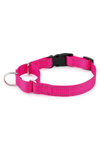 PLUTUS PET Reflective Martingale collar with Quick Snap Buckle,No Pull Dog choker collar for Small Medium Large Dogs,M,Pink