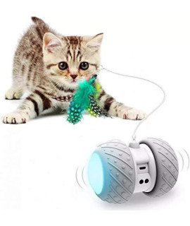 Robotic Interactive Cat Toy, Automatic Cat Teaser, Irregular USB Charging 360