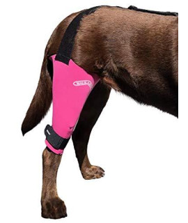 Pink Knee Brace for Dogs | Walkabout Harnesses | Treat ACL, CCL Injury, Arthritis, Joint Pain, Fatigue and Stress with the Walkabout Knee Brace (Large Left)