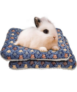 RIOUSSI Bunny Bed, guinea Pig Warm Bed for Small Animals Rabbits chinchillas Hedgehogs Baby cats Ferrets 14X12 Pink Star Blue Star