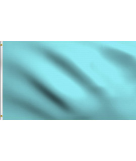 DMSE Solid Blank Flag 2X3 Ft Foot Flag UV Resistant (2x3 Nylon, Light Blue)