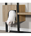 Sauder Pet Furniture Cat Climber, L: 38.31" x W: 15.00" x H: 58.70", Charter Oak Finish