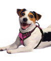 BARKBAY No Pull Dog Harness Front Clip Heavy Duty Reflective Easy Control Handle for Large Dog Walking with ID tag Pocket(Pink/Black,M)