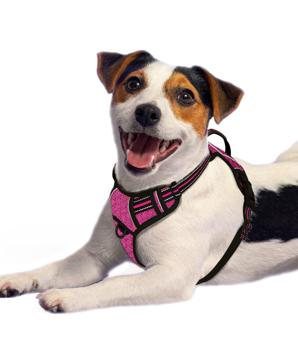 No pull dog harness front outlet clip