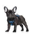 BARKBAY No Pull Dog Harness Large Step in Reflective Dog Harness with Front Clip and Easy Control Handle for Walking Training Running with ID tag Pocket(Blue/Black,S)