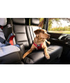 Sleepypod Clickit Sport Bundle Edition - Safest Dog Travel Harness (Extra Large, Charcoal Grey)